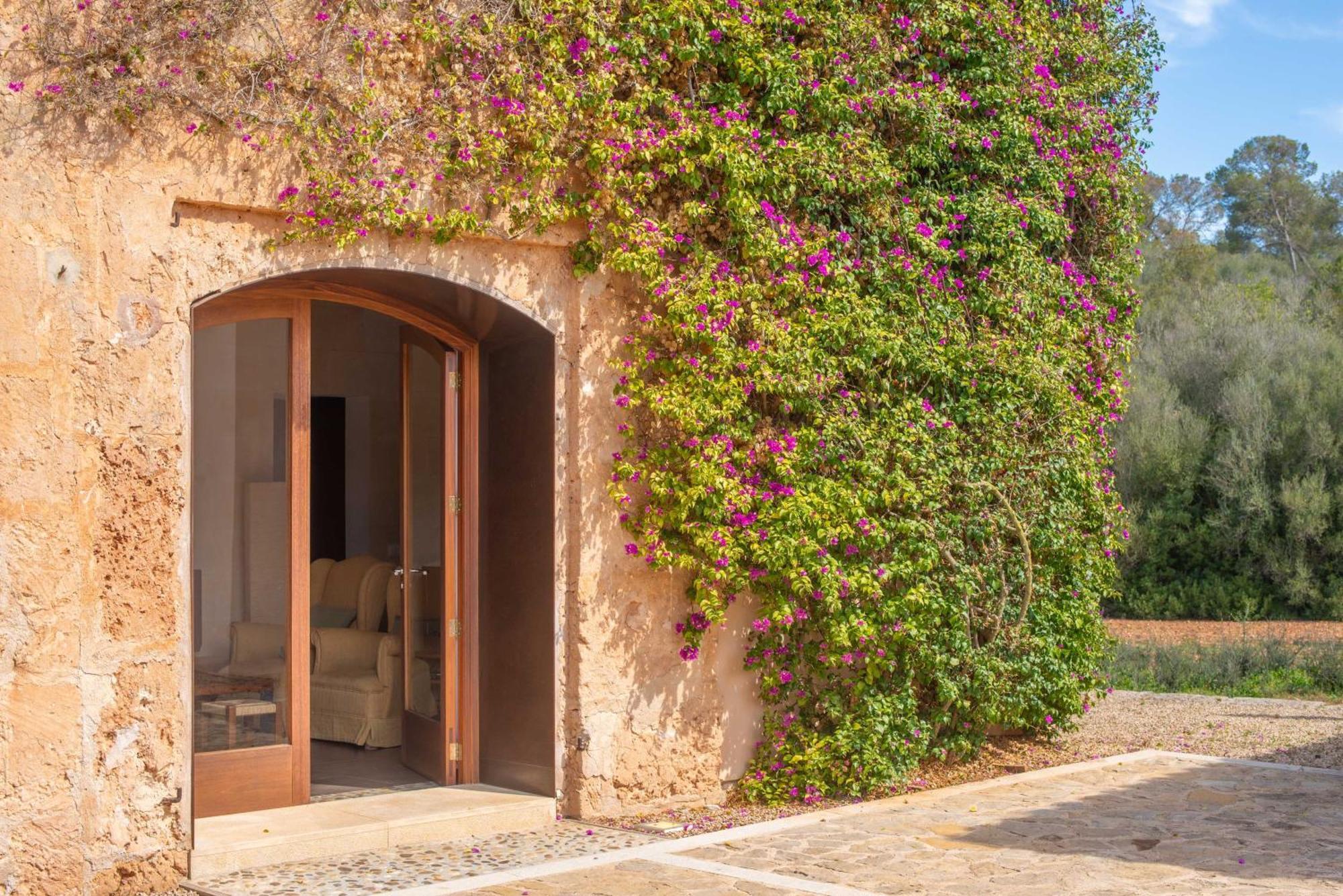 Pere Rapinya Villa