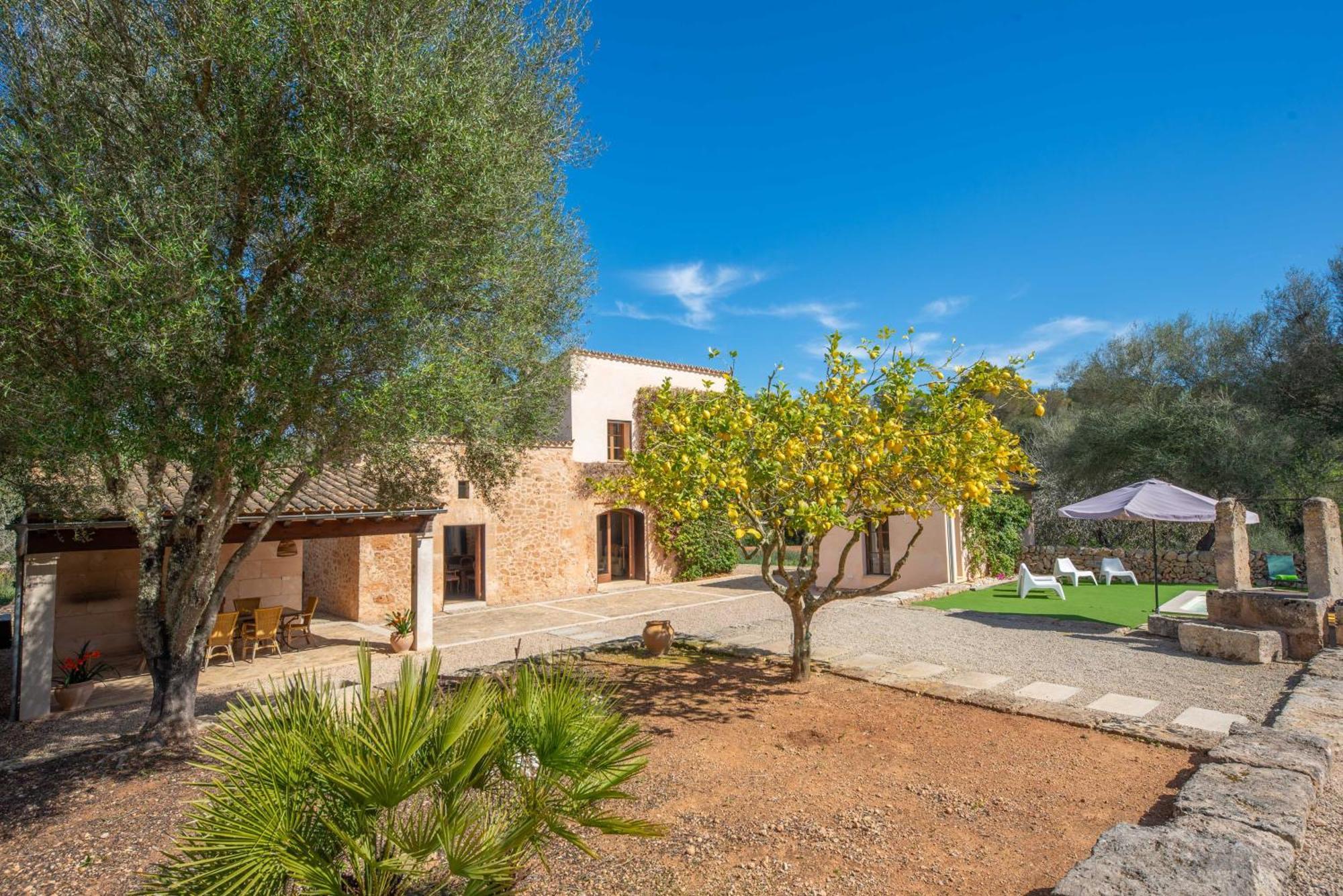 Pere Rapinya Villa Algaida (Mallorca)