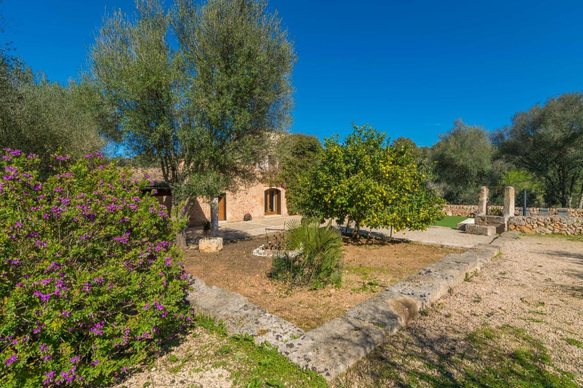 Pere Rapinya * Algaida (Mallorca)