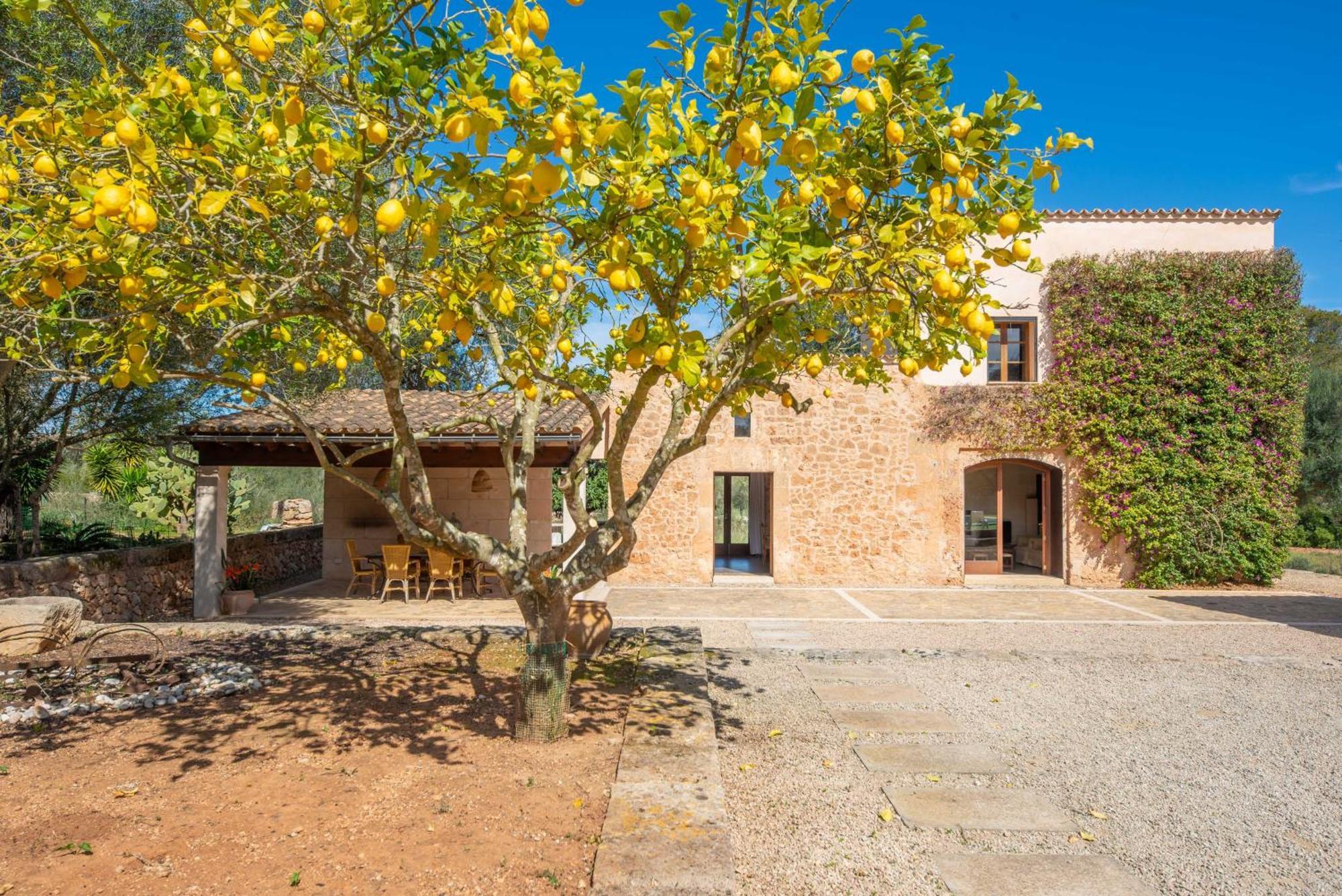 Pere Rapinya Villa
